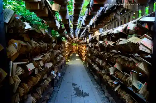 川越氷川神社(埼玉県)