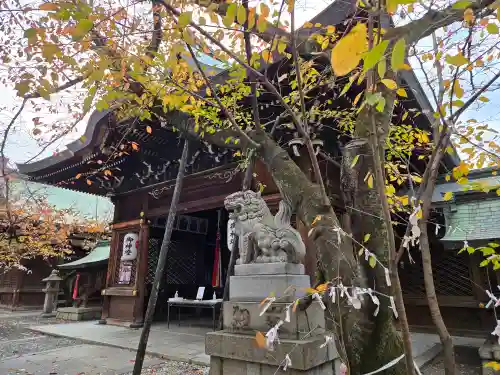天孫神社(滋賀県)