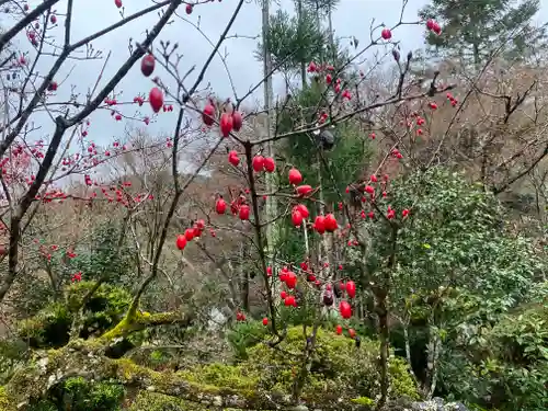 神藏寺(京都府)