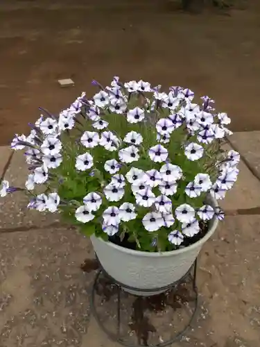 伏木香取神社の自然