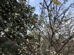 鷲尾愛宕神社の自然