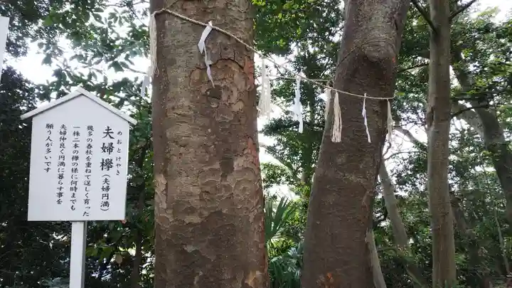 検見川神社の自然
