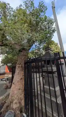 天神社(大阪府)