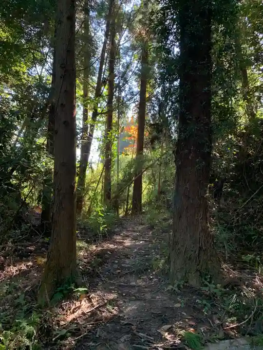 大杉神社の周辺