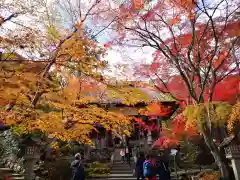 常寂光寺の山門