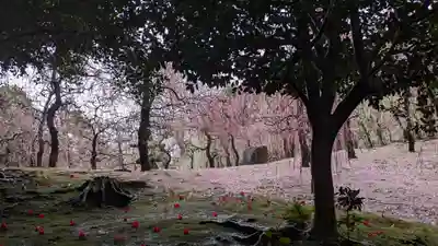 城南宮(京都府)