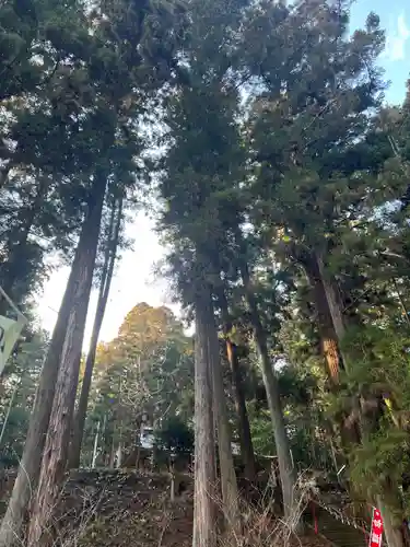 大宮温泉神社(栃木県)