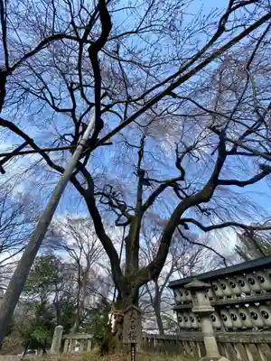 大石神社(京都府)