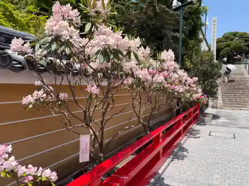中山寺(兵庫県)