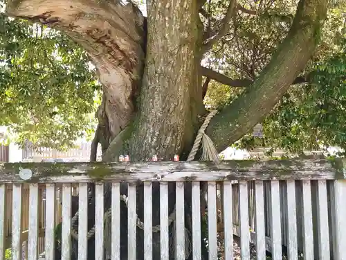 勝尾寺(大阪府)