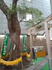 少彦名神社の鳥居