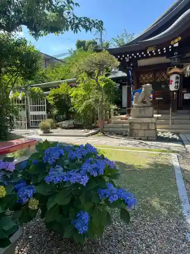 一宮神社(兵庫県)