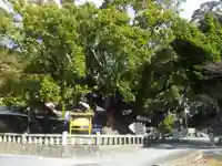 土肥神社のその他建物