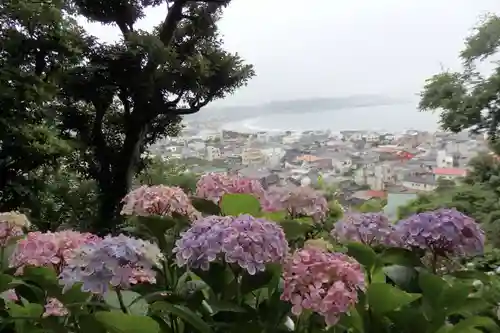 長谷寺の景色