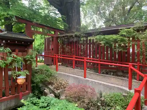 秩父神社の鳥居