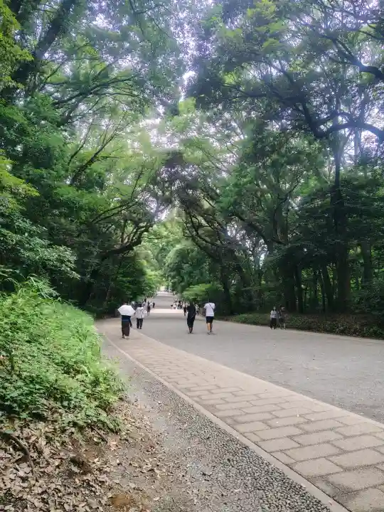 明治神宮(東京都)