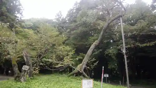 磐椅神社(福島県)