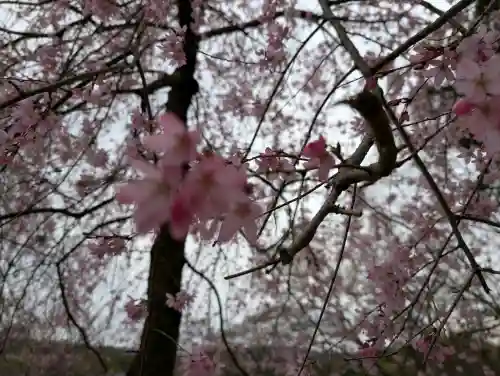 阿久津「田村神社」（郡山市阿久津町）旧社名：伊豆箱根三嶋三社の{uncategorized: "未分類", other: "その他", undefined: "問題あり", building: "その他建物", grave: "お墓", sacred_gate: "鳥居", guardian: "狛犬", statue: "像", buddha: "仏像", history: "歴史", nature: "自然", garden: "庭園", animal: "動物", pagoda: "塔", temizu: "手水舎", mountain_gate: "山門・神門", sanctuary: "本殿・本堂", subordinate: "末社・摂社", art: "芸術", scenery: "景色", jizo: "地蔵", ema: "絵馬", goshuin: "御朱印", omikuji: "おみくじ", items: "授与品その他", amulet: "お守り", goshuincho: "御朱印帳", eats: "食事", festival: "お祭り", votive_dance: "神楽", shichigosan: "七五三参", wedding: "結婚式", experience: "体験その他", initially: "初詣", around: "周辺", anti_infection: "感染症対策"}