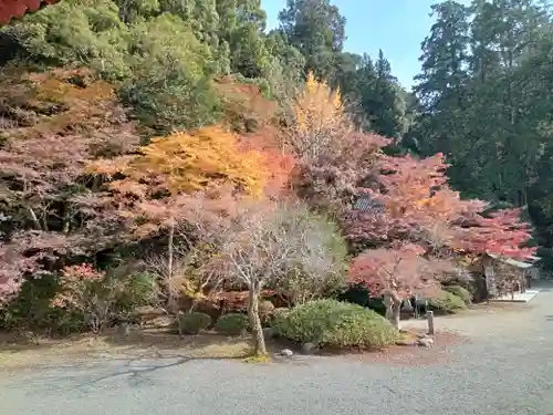 観心寺(大阪府)