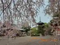 道成寺の{uncategorized: "未分類", other: "その他", undefined: "問題あり", building: "その他建物", grave: "お墓", sacred_gate: "鳥居", guardian: "狛犬", statue: "像", buddha: "仏像", history: "歴史", nature: "自然", garden: "庭園", animal: "動物", pagoda: "塔", temizu: "手水舎", mountain_gate: "山門・神門", sanctuary: "本殿・本堂", subordinate: "末社・摂社", art: "芸術", scenery: "景色", jizo: "地蔵", ema: "絵馬", goshuin: "御朱印", omikuji: "おみくじ", items: "授与品その他", amulet: "お守り", goshuincho: "御朱印帳", eats: "食事", festival: "お祭り", votive_dance: "神楽", shichigosan: "七五三参", wedding: "結婚式", experience: "体験その他", initially: "初詣", around: "周辺", anti_infection: "感染症対策"}