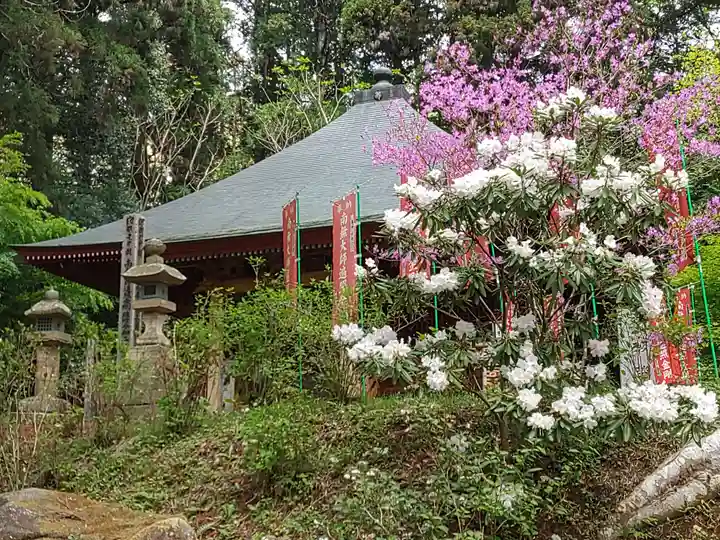 徳蔵寺(茨城県)