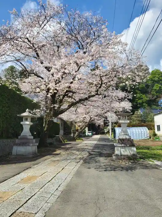 稲田神社の自然