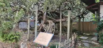 三聖堂(宮城県)