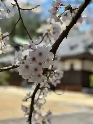 龍城院(岡山県)