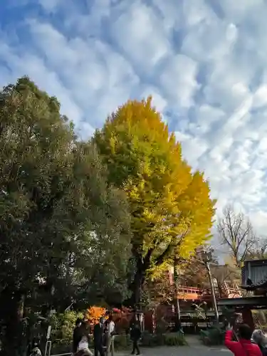 秩父神社の自然
