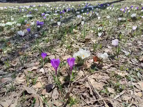幌向神社(北海道)