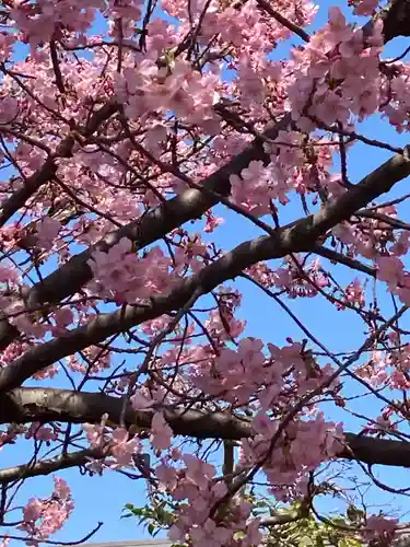 善福寺(神奈川県)