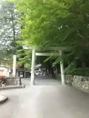 椿大神社の鳥居