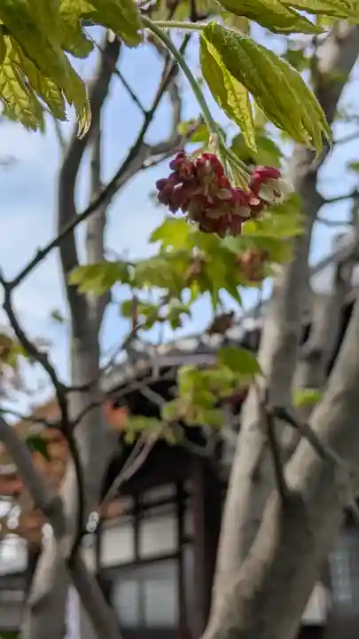 上宮王院聖徳寺(京都府)