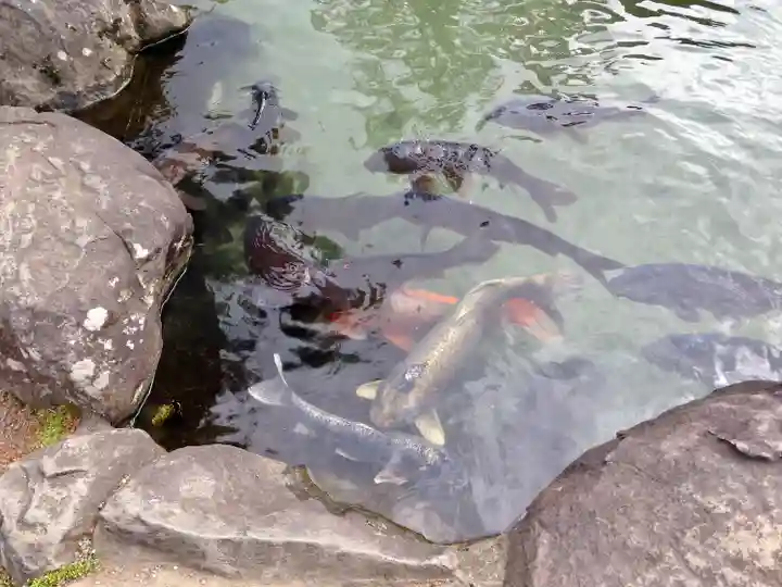 甲斐善光寺(山梨県)