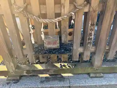 都農神社(宮崎県)