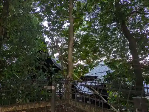 離宮八幡宮(京都府)