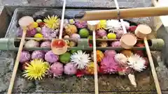 勝林寺の手水