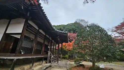 白毫寺(奈良県)