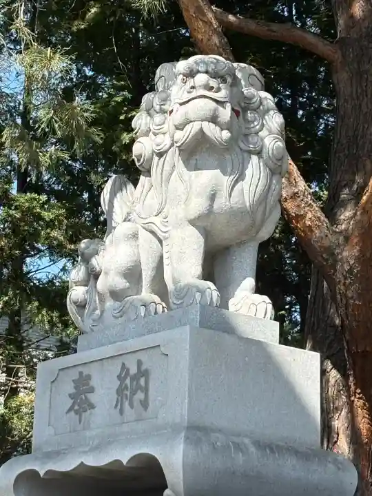 北見神社の狛犬