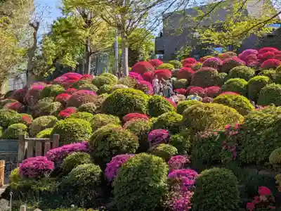 根津神社(東京都)