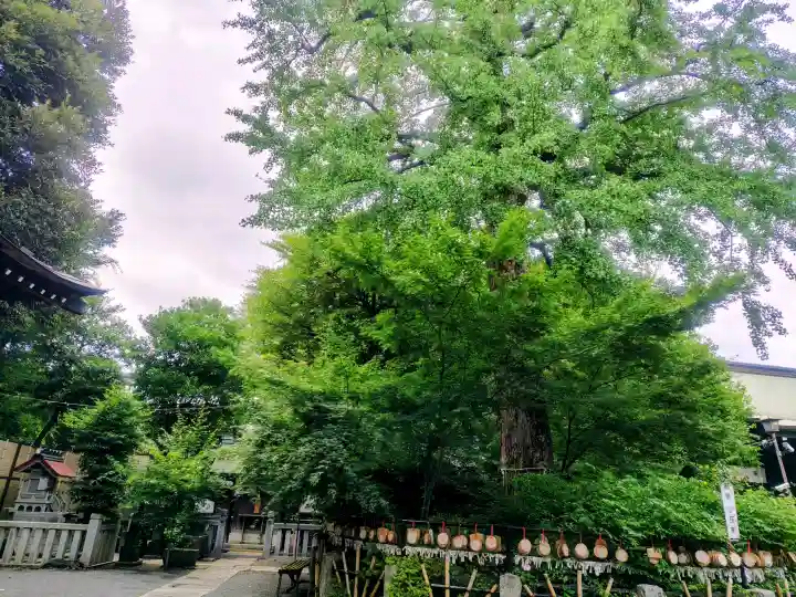 七社神社(東京都)
