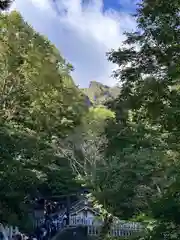 戸隠神社奥社(長野県)