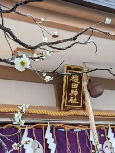 穏田神社(東京都)
