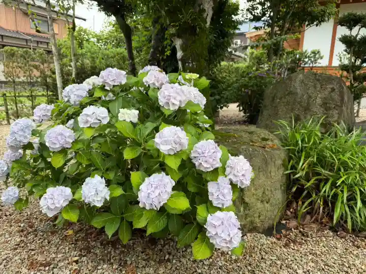 美奈宜神社(福岡県)