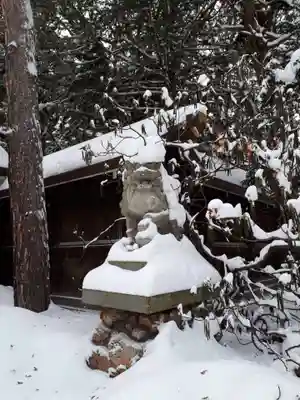 琴似神社の狛犬