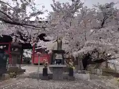 万徳寺の自然