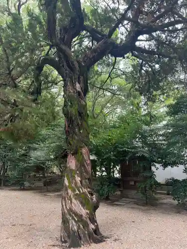 野々宮神社(大阪府)