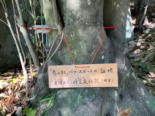 加茂神社の自然