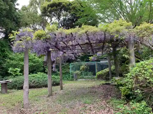 湯殿山神社の庭園