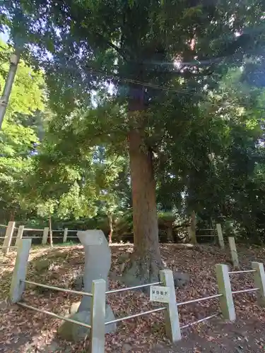 無量光寺(神奈川県)